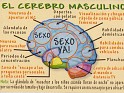 Spain - 2007 - Erotic - Erotic Joke - El Cerebro Masculino - Joke,Brain - c.b.nÂº153 - 1